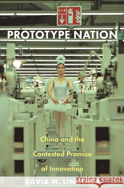 Prototype Nation: China and the Contested Promise of Innovation Silvia M. Lindtner 9780691179483 Princeton University Press