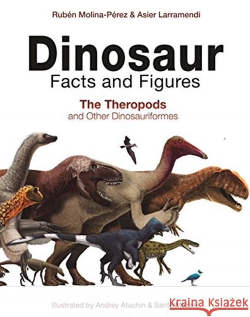 Dinosaur Facts and Figures: The Theropods and Other Dinosauriformes Ruben Molina-Perez Asier Larramendi Andrey Atuchin 9780691180311 Princeton University Press