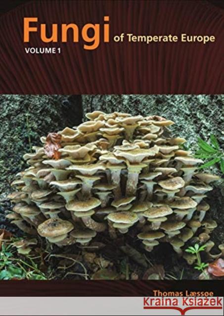 Fungi of Temperate Europe Thomas Laessoe, Jens H Petersen 9780691180373 