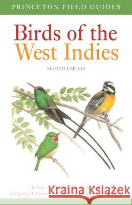 Birds of the West Indies Second Edition Herbert A. Raffaele James Wiley Orlando H. Garrido 9780691180519