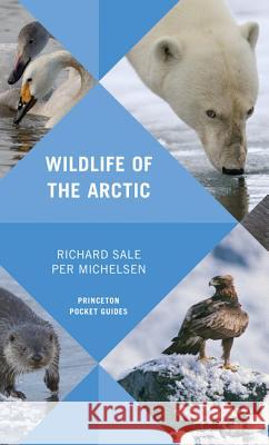 Wildlife of the Arctic Richard Sale Per Michelsen 9780691180540 Princeton University Press