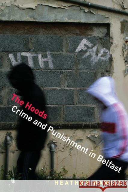 The Hoods: Crime and Punishment in Belfast Heather Hamill 9780691180687 Princeton University Press