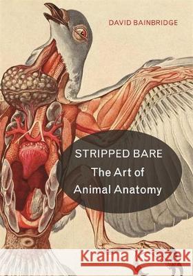 Stripped Bare: The Art of Animal Anatomy David Bainbridge 9780691181424 Princeton University Press