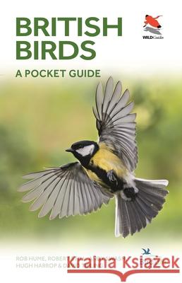 British and Irish Birds: A Pocket Guide David Tipling 9780691181677 Princeton University Press