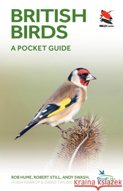 British Birds: A Pocket Guide Hume, Rob 9780691181677 Princeton University Press
