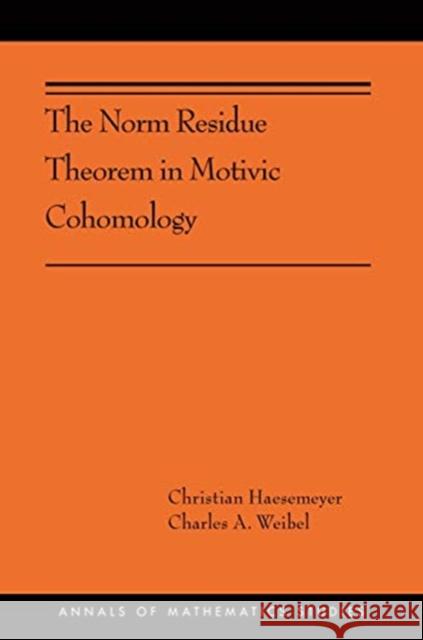 The Norm Residue Theorem in Motivic Cohomology: (Ams-200) Haesemeyer, Christian 9780691181820 Princeton University Press