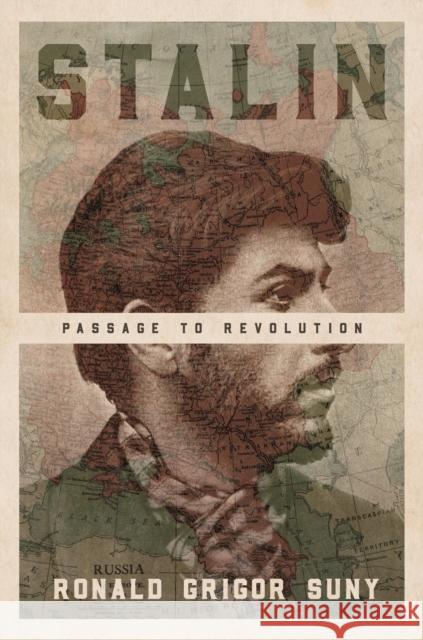 Stalin: Passage to Revolution Suny, Ronald Grigor 9780691182032