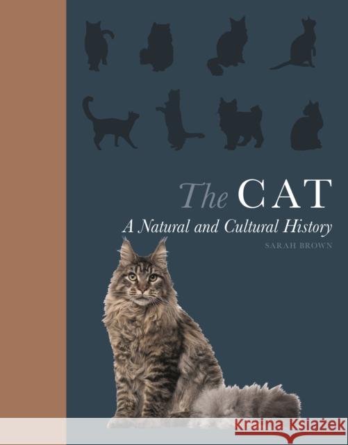 The Cat: A Natural and Cultural History Sarah Brown 9780691183732