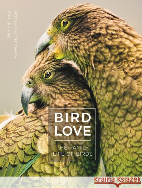 Bird Love: The Family Life of Birds Wenfei Tong Mike Webster 9780691188843 Princeton University Press