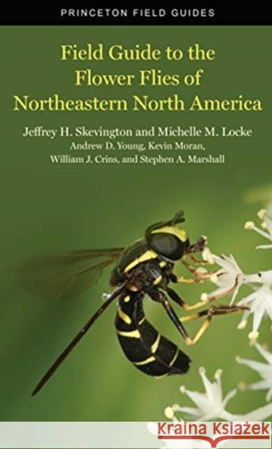 Field Guide to the Flower Flies of Northeastern North America Jeffrey H. Skevington Michelle M. Locke Andrew D. Young 9780691189406 Princeton University Press