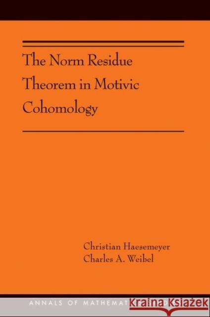 The Norm Residue Theorem in Motivic Cohomology: (Ams-200) Haesemeyer, Christian 9780691191041 Princeton University Press