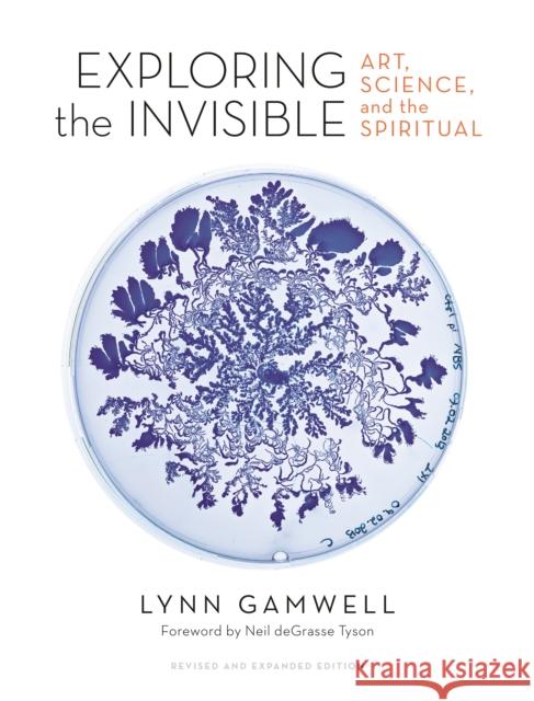 Exploring the Invisible: Art, Science, and the Spiritual - Revised and Expanded Edition Lynn Gamwell Neil Degrasse Tyson 9780691191058 Princeton University Press