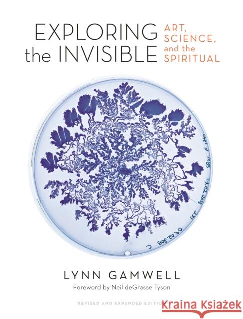 Exploring the Invisible: Art, Science, and the Spiritual – Revised and Expanded Edition Lynn Gamwell 9780691191058 Princeton University Press