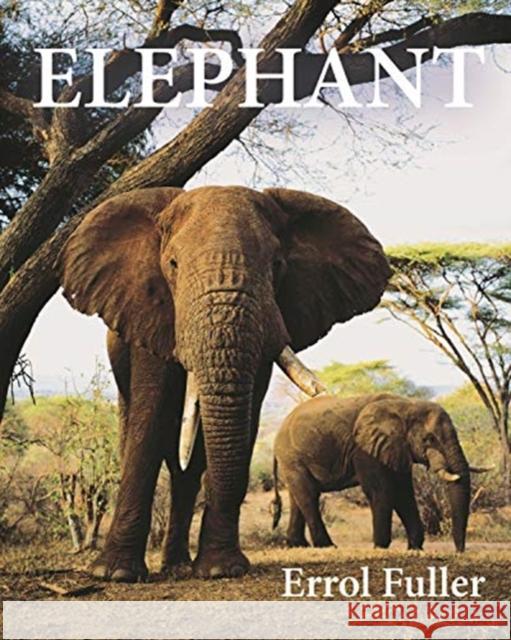 Elephant Errol Fuller 9780691191324 Princeton University Press