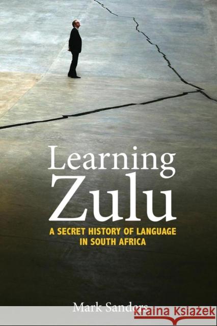 Learning Zulu: A Secret History of Language in South Africa Mark Sanders 9780691191461 Princeton University Press