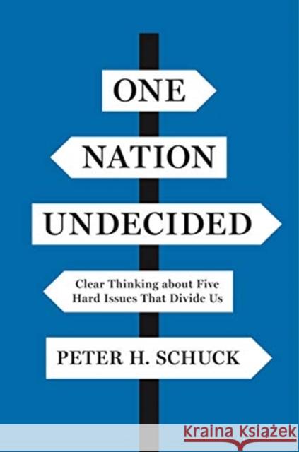 One Nation Undecided: Clear Thinking about Five Hard Issues That Divide Us Peter H. Schuck 9780691191584 Princeton University Press