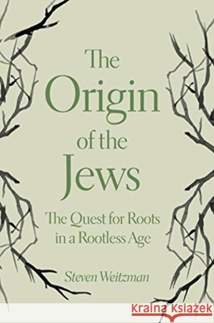 The Origin of the Jews: The Quest for Roots in a Rootless Age Steven Weitzman 9780691191652