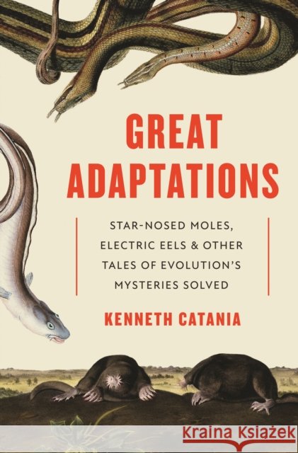 Great Adaptations: Star-Nosed Moles, Electric Eels, and Other Tales of Evolution’s Mysteries Solved Catania, Kenneth 9780691195254 Princeton University Press