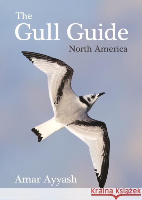 The Gull Guide: North America Amar Ayyash 9780691195896 Princeton University Press