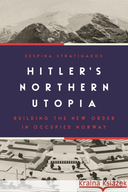 Hitler's Northern Utopia: Building the New Order in Occupied Norway Despina Stratigakos 9780691198217 Princeton University Press