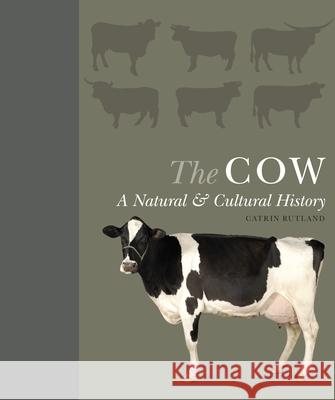 The Cow: A Natural and Cultural History Catrin Rutland 9780691198705 Princeton University Press