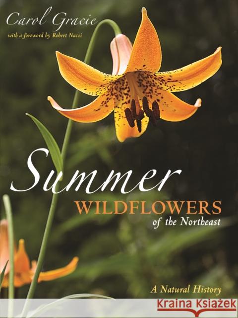 Summer Wildflowers of the Northeast: A Natural History Carol Gracie 9780691199344 Princeton University Press