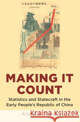 Making It Count: Statistics and Statecraft in the Early People's Republic of China Arunabh Ghosh 9780691199719 Princeton University Press