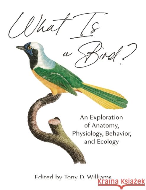 What Is a Bird?: An Exploration of Anatomy, Physiology, Behavior, and Ecology Tony D. Williams Scott McWilliams Julia A. Clarke 9780691200163