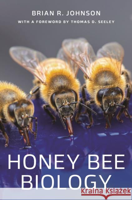 Honey Bee Biology Brian R. Johnson 9780691204888 Princeton University Press