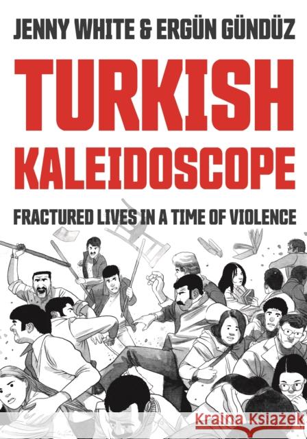 Turkish Kaleidoscope: Fractured Lives in a Time of Violence Jenny White Erg 9780691205199