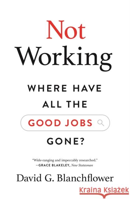 Not Working: Where Have All the Good Jobs Gone? David G. Blanchflower 9780691205496 Princeton University Press