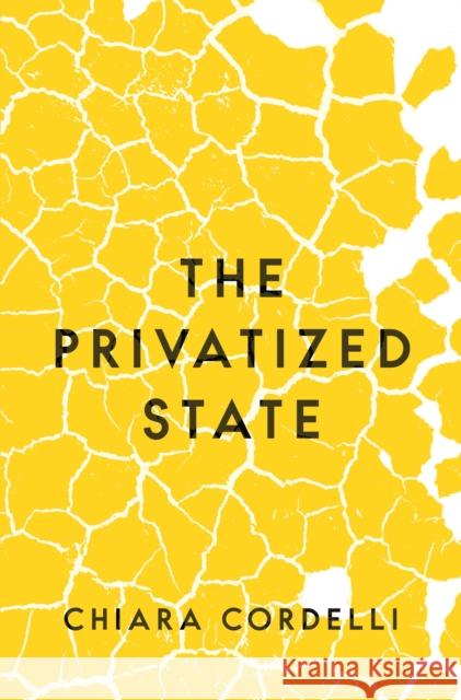 The Privatized State Chiara Cordelli 9780691205755 Princeton University Press