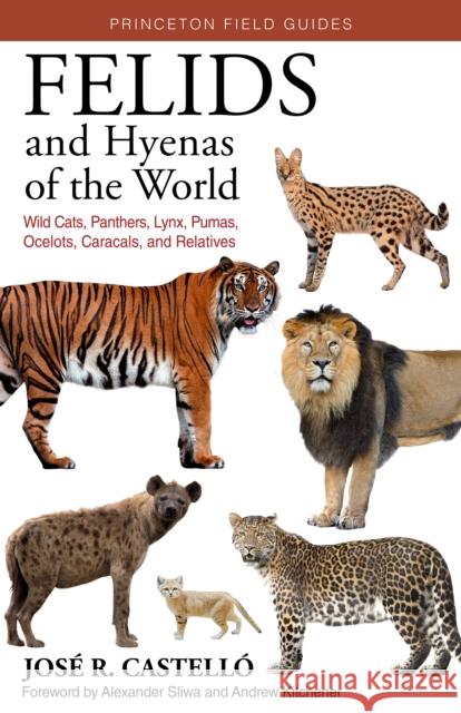 Felids and Hyenas of the World: Wildcats, Panthers, Lynx, Pumas, Ocelots, Caracals, and Relatives Castelló, José R. 9780691205977 Princeton University Press