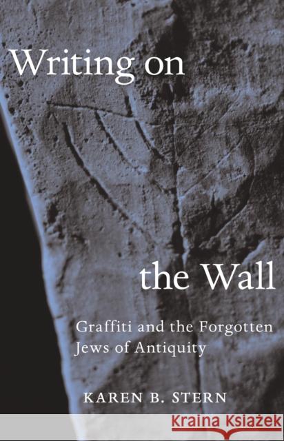 Writing on the Wall: Graffiti and the Forgotten Jews of Antiquity Karen B. Stern 9780691210704