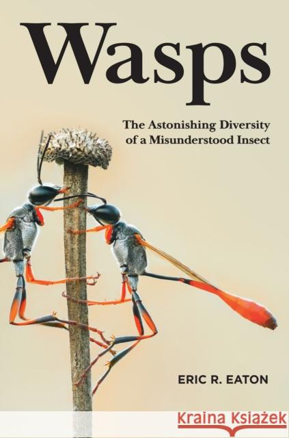 Wasps: The Astonishing Diversity of a Misunderstood Insect Eric R. Eaton 9780691211428 Princeton University Press