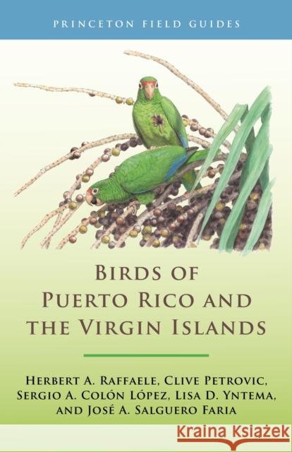 Birds of Puerto Rico and the Virgin Islands: Fully Revised and Updated Third Edition Herbert A. Raffaele Herbert A. Raffaele Clive Petrovic 9780691211671 Princeton University Press