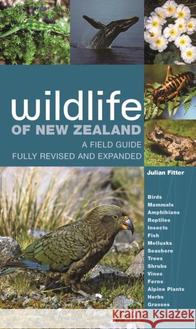 Wildlife of New Zealand: A Field Guide Fully Revised and Expanded Julian Fitter 9780691212470 Princeton University Press