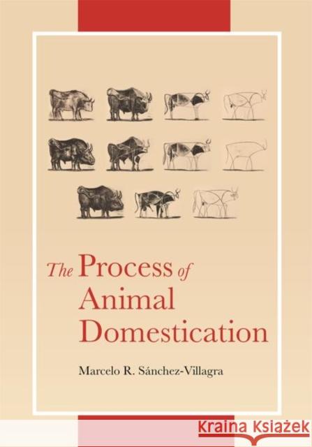 The Process of Animal Domestication Marcelo Sanchez-Villagra 9780691217666