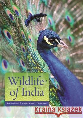 Wildlife of India Bikram Grewal 9780691217703 Princeton University Press