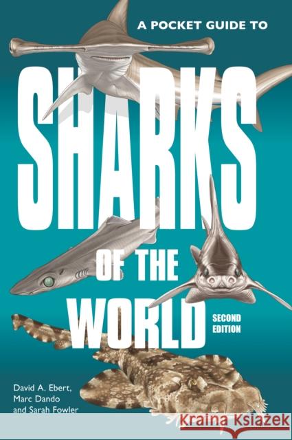 A Pocket Guide to Sharks of the World: Second Edition Sarah Fowler Marc Dando David A. Ebert 9780691218748 Princeton University Press