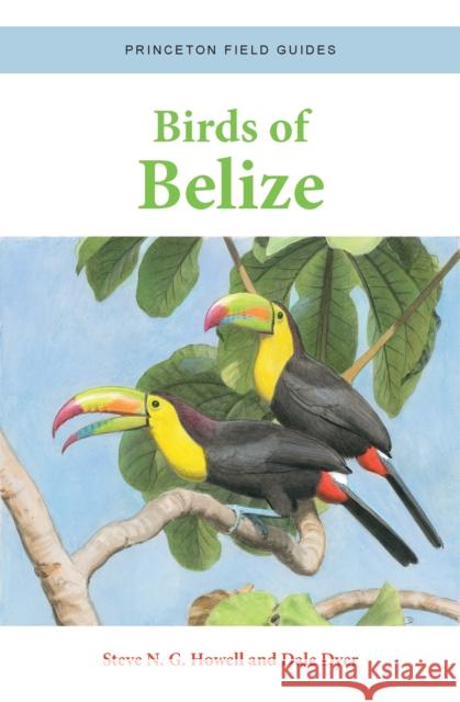 Birds of Belize Dale Dyer 9780691220727