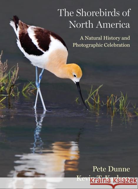 The Shorebirds of North America: A Natural History and Photographic Celebration Kevin T. Karlson 9780691220956