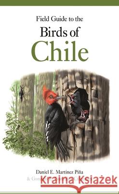 Field Guide to the Birds of Chile Pi Gonzalo E. Gonz 9780691221052 Princeton University Press