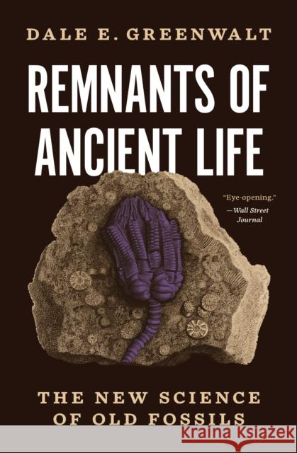 Remnants of Ancient Life: The New Science of Old Fossils Dale E. Greenwalt 9780691221168 Princeton University Press