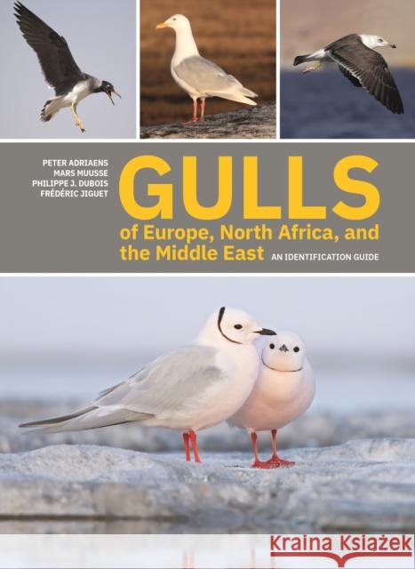 Gulls of Europe, North Africa, and the Middle East: An Identification Guide Peter Adriaens Mars Muusse Philippe J. DuBois 9780691222837