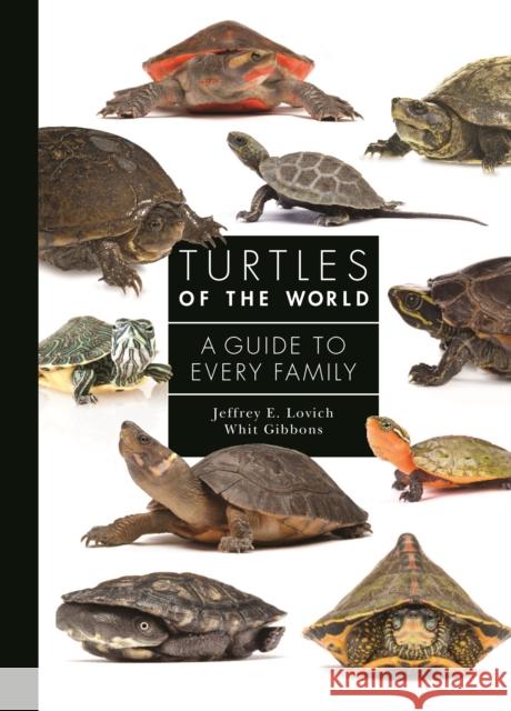 Turtles of the World: A Guide to Every Family Jeffrey E. Lovich J. Whitfield Gibbons 9780691223223 Princeton University Press