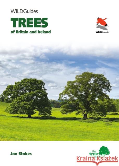 Trees of Britain and Ireland Jonathan Stokes 9780691224169 Princeton University Press