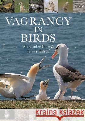Vagrancy in Birds Alexander Lees James Gilroy 9780691224886