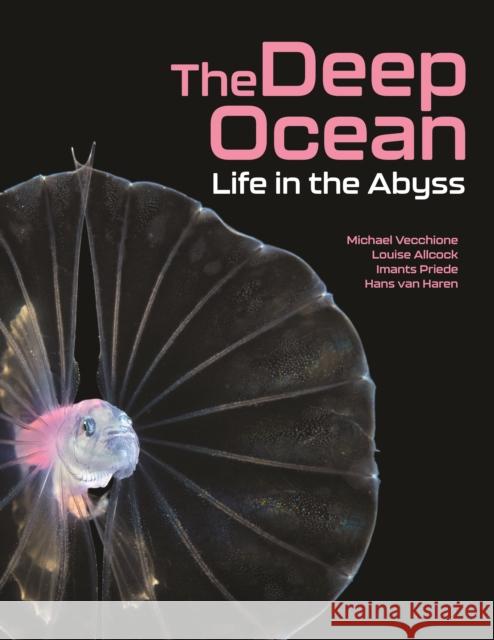 The Deep Ocean: Life in the Abyss Hans van Haren 9780691226811