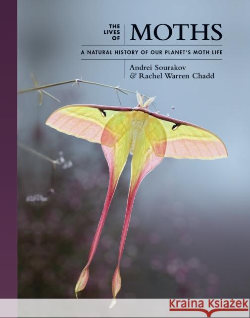 The Lives of Moths: A Natural History of Our Planet's Moth Life Andrei Sourakov Rachel Warren Chadd 9780691228563 Princeton University Press